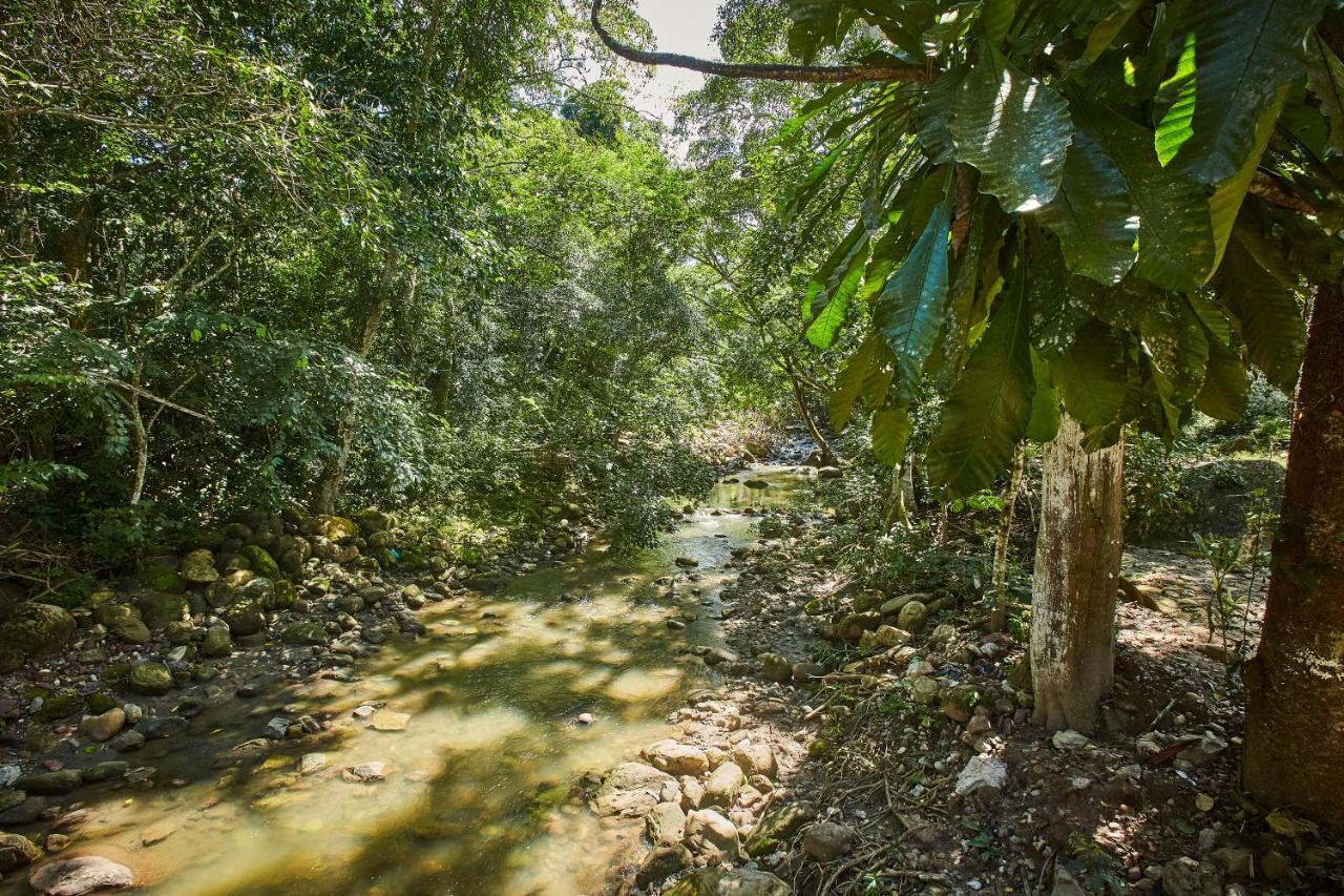 Villa Lu Amazon Ecolodge Tarapoto Kültér fotó