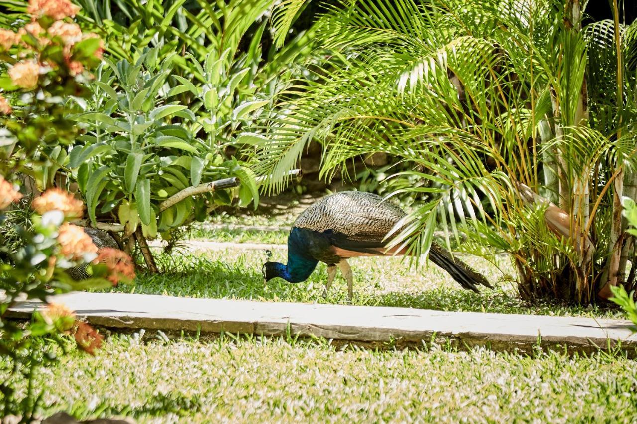 Villa Lu Amazon Ecolodge Tarapoto Kültér fotó