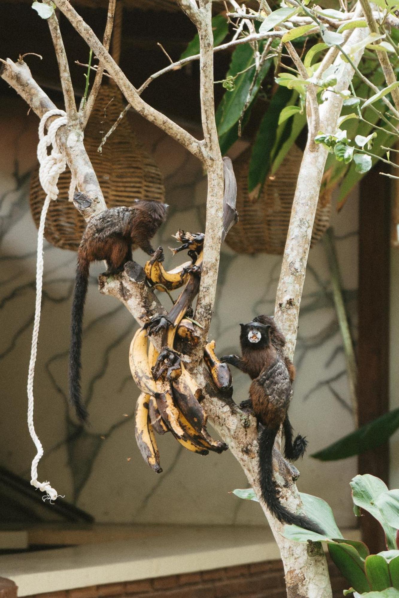 Villa Lu Amazon Ecolodge Tarapoto Kültér fotó