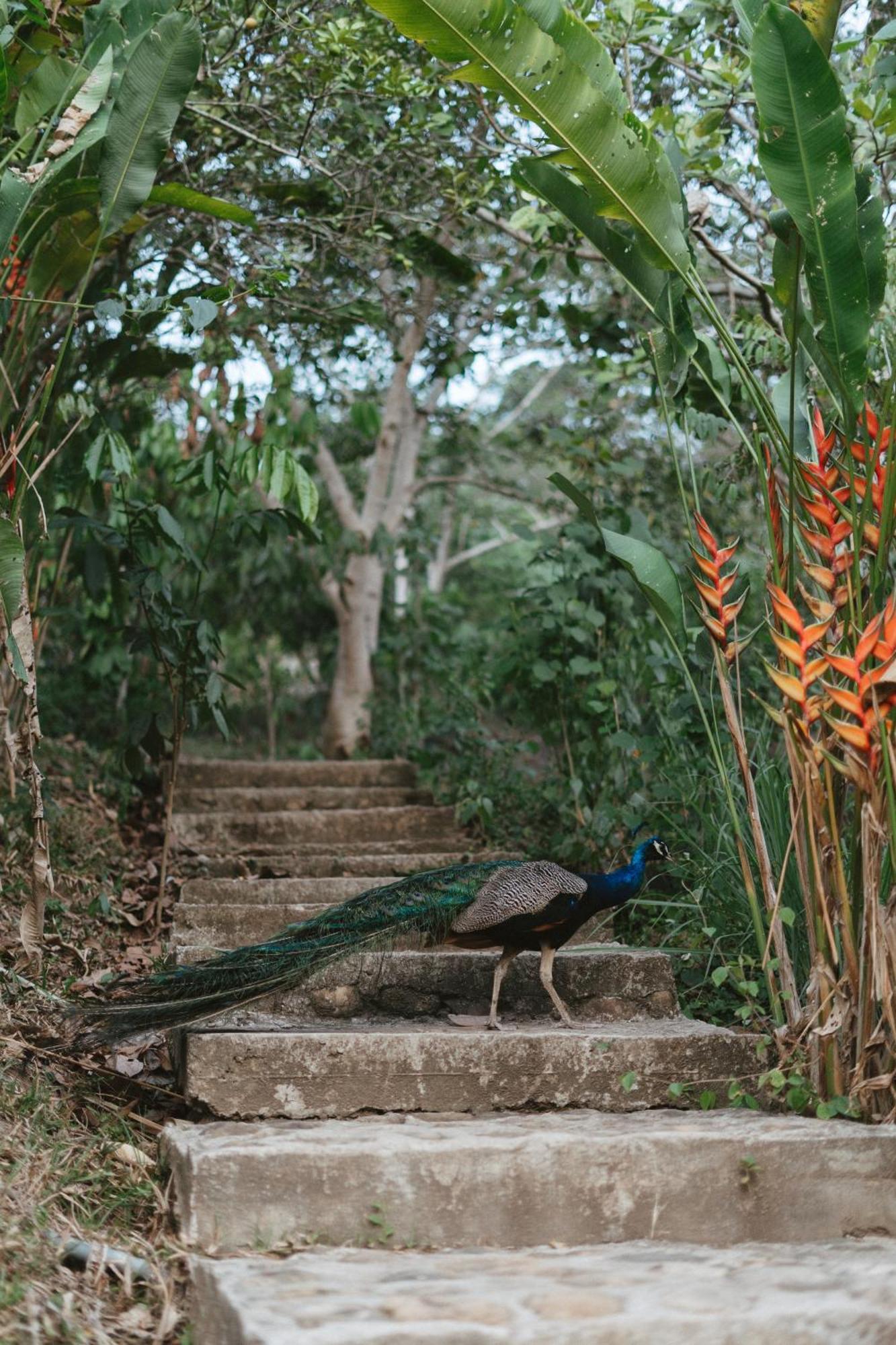Villa Lu Amazon Ecolodge Tarapoto Kültér fotó